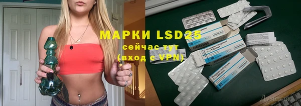 гашик Коряжма