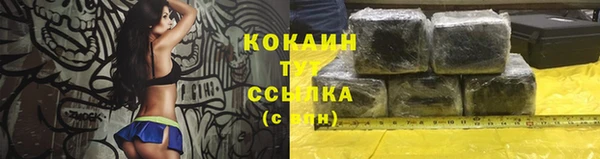 гашик Коряжма