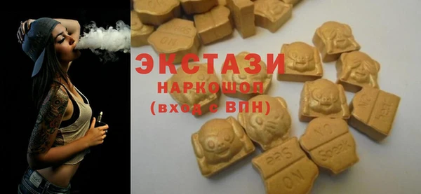 гашик Козельск