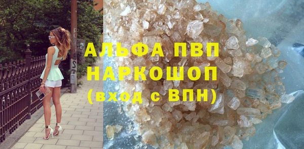 гашик Коряжма