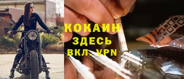 гашик Коряжма