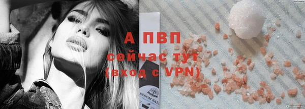 гашик Коряжма
