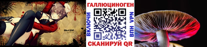 Галлюциногенные грибы Cubensis OMG маркетплейс Черемхово