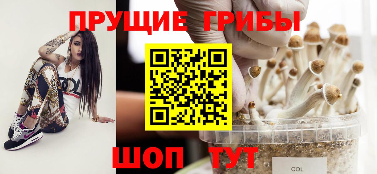 Черемхово  Псилоцибиновые грибы прущие грибы  Вход с VPN  Псилоцибиновые грибы ЛСД 