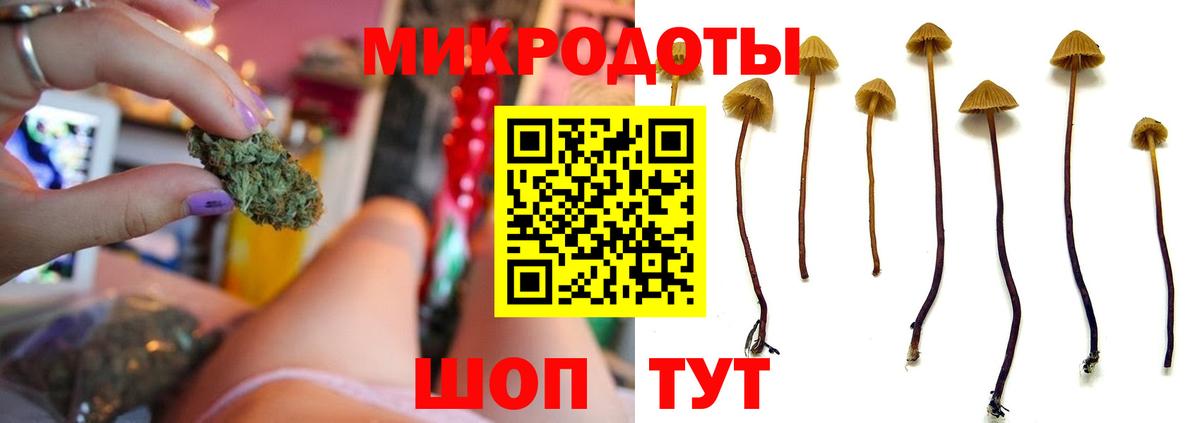 Псилоцибиновые грибы Magic Shrooms Черемхово